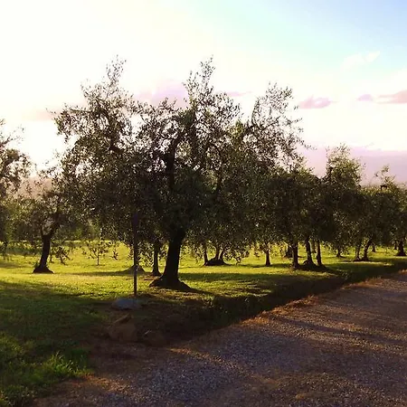 Podere La Casuccia Malmantile Room photo