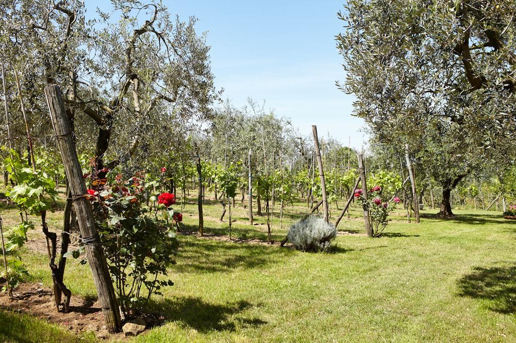 Podere La Casuccia