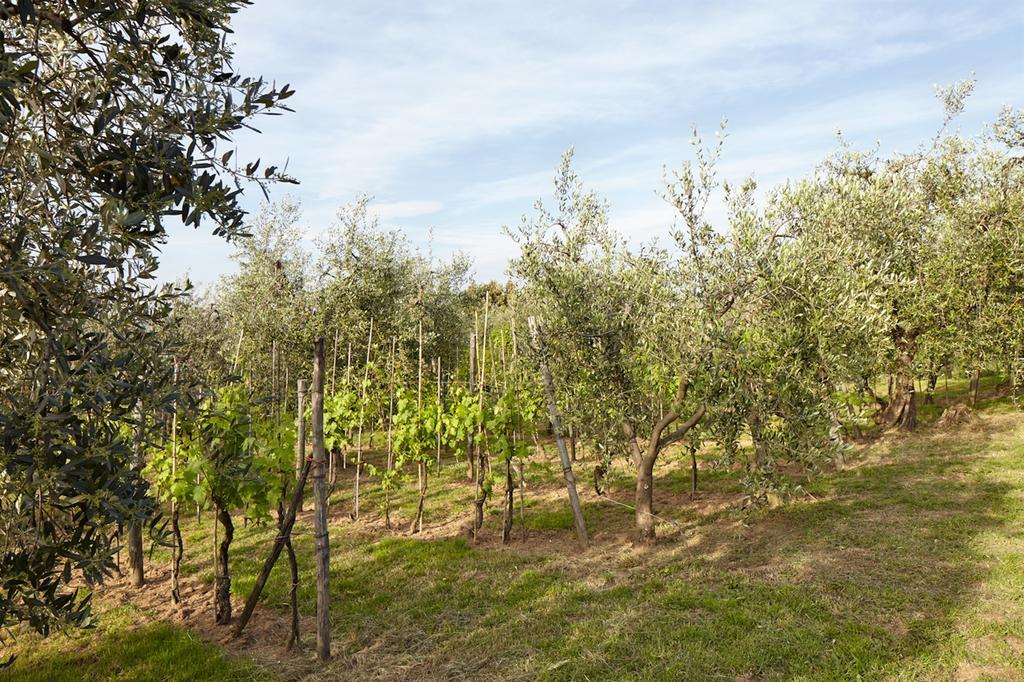 Podere La Casuccia Apartment *
