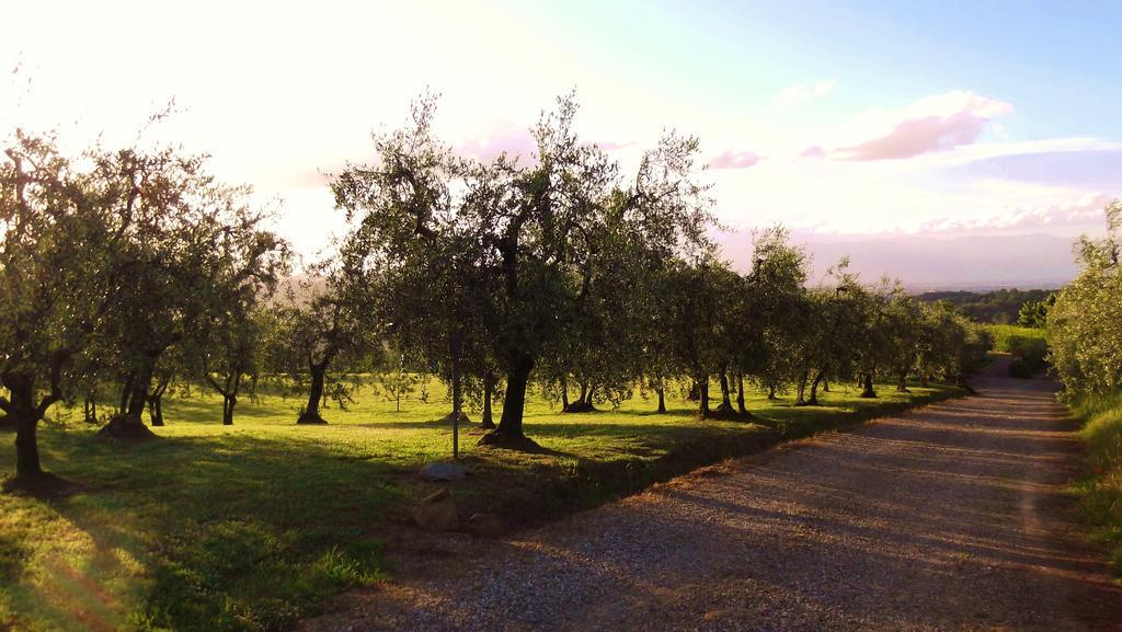 Podere La Casuccia Apartment Malmantile