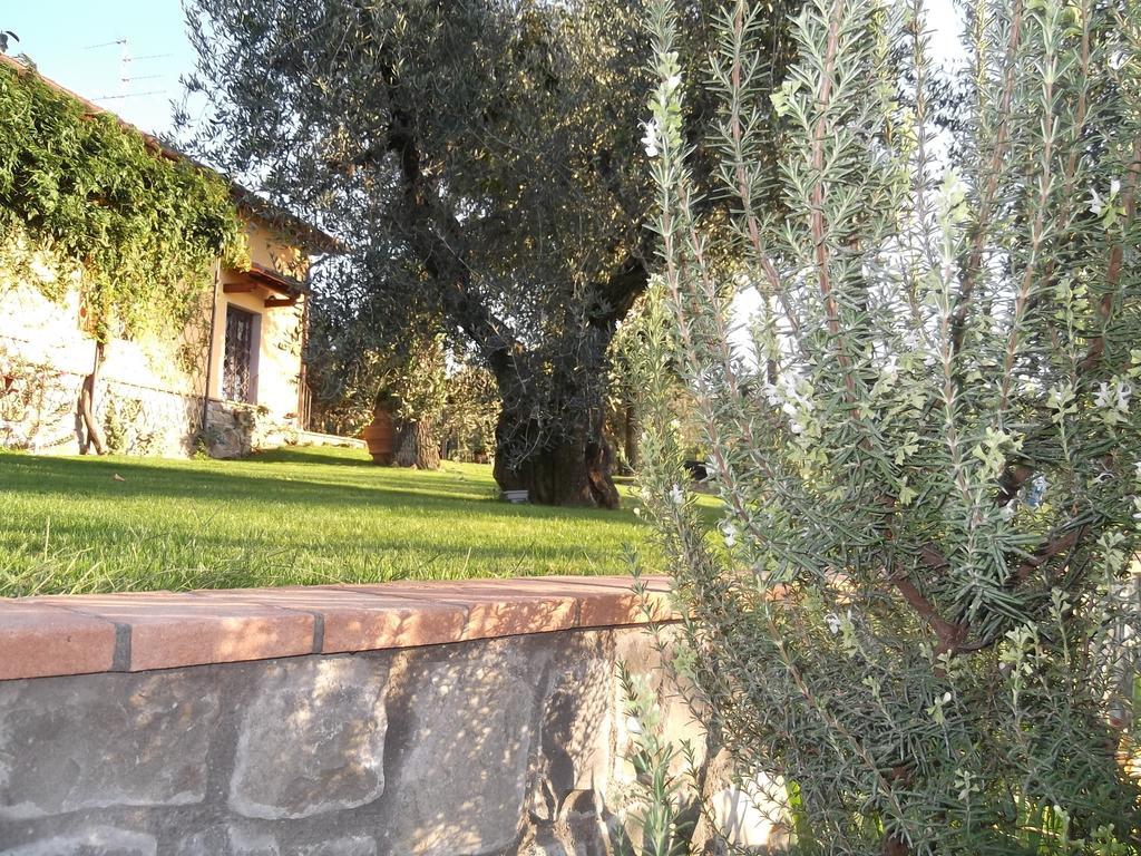 Podere La Casuccia Malmantile